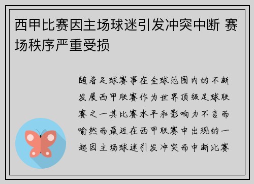 西甲比赛因主场球迷引发冲突中断 赛场秩序严重受损